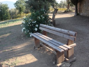 Pauvre banc bien seul pour tant de promeneurs fourbus après la "grimpette"...