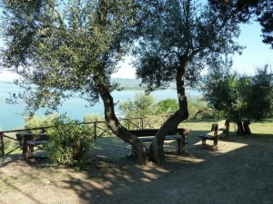 Embellissement de ce site de bien-être et de rêverie