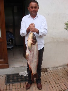 Edoardo et une superbe carpe