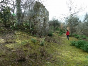 Ruderi della chiesa San Leonardo - Isola Maggiore