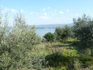 Première vue sur Tuoro sul Trasimeno