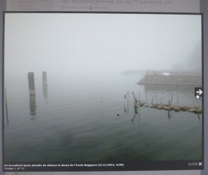 Glissez la souris, au milieu du bord droit de la photo, et une flèche apparaît.