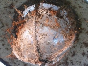 Settembre 2011 : lampione alla darsena