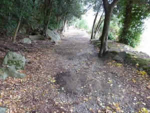 Finalement, une vision de champ de bataille, de chaos... la lutte permanente entre les éléments est passée par là !
