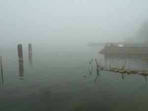 Un brouillard épais plombe de silence la darse de l'Isola Maggiore (2/11/2011, 9:30)