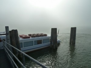 Bien meilleure visibilté qu'à l'Isola Maggiore et le soleil n'est pas loin de réussir à imposer ici sa loi millénaire