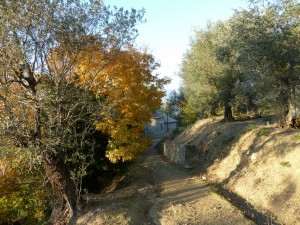 En descendant la stra di San Salvatore vers la chiesa, 27/11/2011