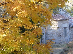 ... qui s'offre enfin à vous dans son inhabituel écrin d'or !