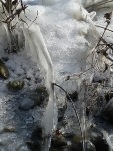 Création artistique de la Nature sur le lungolago