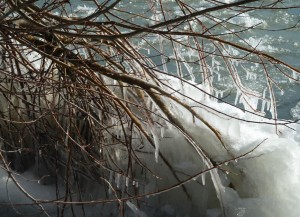 Oeuvre de la Nature au lungolago...
