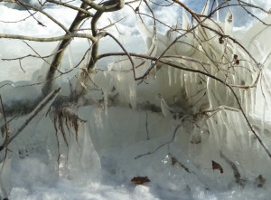 Oeuvre de la Nature au lungolago...