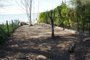 Débroussaillage efficace de la parcelle de jardin face au lac.