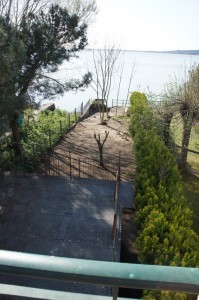 Vue de leur terrasse sur le jardin débroussaillé face au lac...