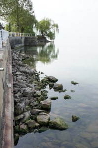 Le versant extérieur de notre digue avec cette fois l'amas rocheux fortement émergé, le 5/04/2012