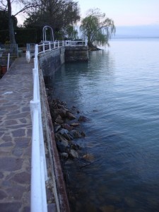 Versant extérieur de notre digue, le 1/04/2010