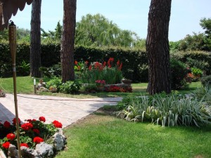 Début d'embellissement du jardin en 2010...