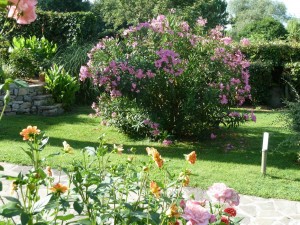 Début d'embellissement du jardin en 2010...