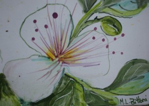 Céramique créée pour notre entrée par Maria Letizia Bittoni sur le thème du câprier.