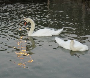 Le marchand de sable ne va plus tarder...