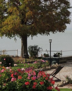 Chemin vers le bord du lac.