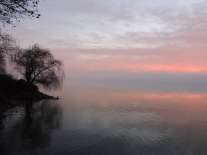 Photo prise de notre jardin en direction de Castiglione del lago - 4/01/2013, 17:00