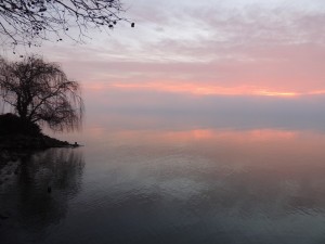 Photo prise de notre jardin en direction de Castiglione del lago - 4/01/2013, 16:54