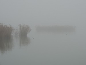 La sortie tout aussi calfeutrée du " Porto del Sole ".