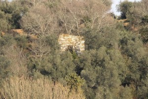 Bonne visibilité des ruines de l'église San Leonardo en hiver.