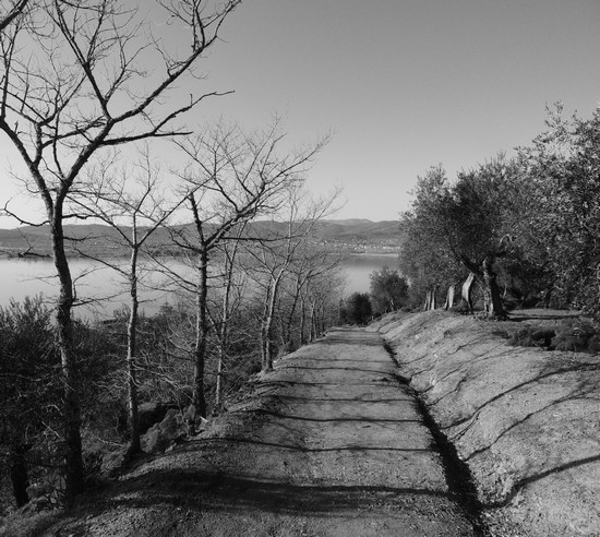 La via San Salvatore avec, à l'arrière-plan, Tuoro-sul-Trasimeno - 04/03/2013