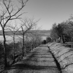 Cliquez sur la photo pour l'agrandir !