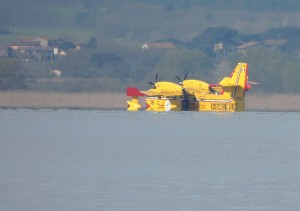 L'hydravion s'est posé et reste un moment à l'arrêt près de la rive ouest du lac Trasimène.