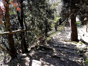 Scala senza la sua protezione anteriore, nella strada San Francesco, Isola Maggiore.