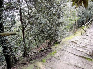 A questo posto, la pendenza della collina è molto ripida.
