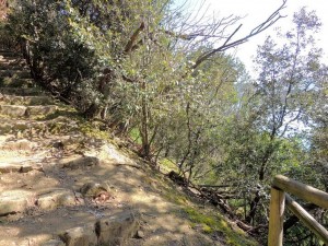 Una caduta a questo posto potrebbe comportare gravi lesioni o... peggio !