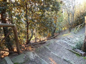 Situazione già pericolosa nel mese di marzo 2011.