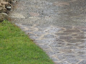 Notre jardin. - Il nostro giardino.