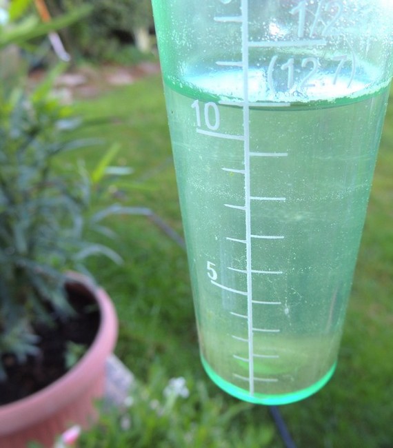 Niveau de pluie enregistré par notre pluviomètre à l’Isola Maggiore le 30 mai au matin (pluie du 29 mai ) - Livello di pioggia registrato dal nostro pluviometro all' Isola Maggiore il 30 maggio al mattino (pioggia dello 29 maggio)