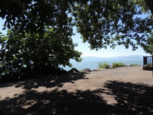 Un buon posto ombroso per riposarsi dopo una passeggiata al sole   -   23/07/2013