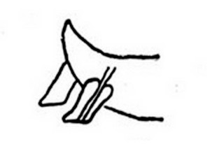 Schéma de l'arrière relevé des galères de l'Antiquité.