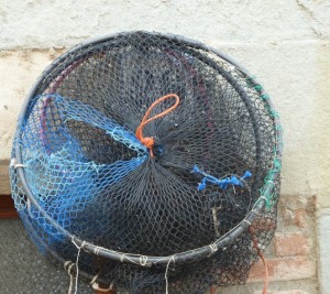 Filets dans la via Guglielmi  (2)