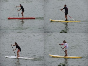 Défilé de planches "à rames" au pied de notre jardin à l'Isola Maggiore   -   15/09/2013.