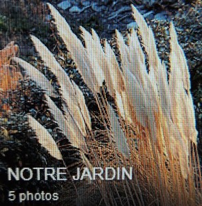 Troisième album : notre jardin.