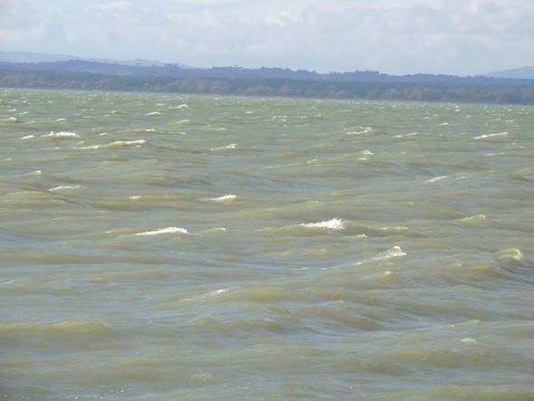 Dimanche 3 novembre 2013, le Trasimène houleux et un puissant sirocco.