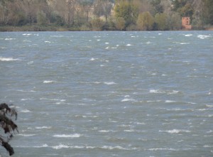Les vagues ne cessèrent pas de galoper frénétiquement à la surface du Trasimène.