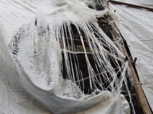 Des parements plus ou moins psychédéliques...