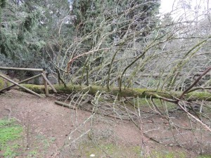 Au passage, il a renversé la balustrade de sécurité.