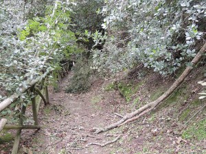 Plus bas, toujours dans la "strada di San Francesco", le passage est à nouveau encombré par des branches abattues.