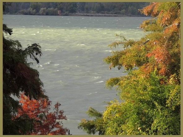 Que cette dernière photo serve donc de tombée de rideau après la belle prestation de la saison 2013 !