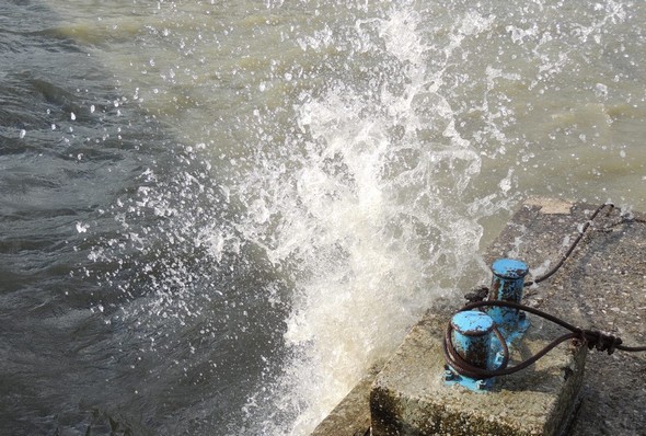 La photo recherchée fut plutôt réussie...