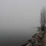 Cliquez sur la vignette pour obtenir un agrandissement.